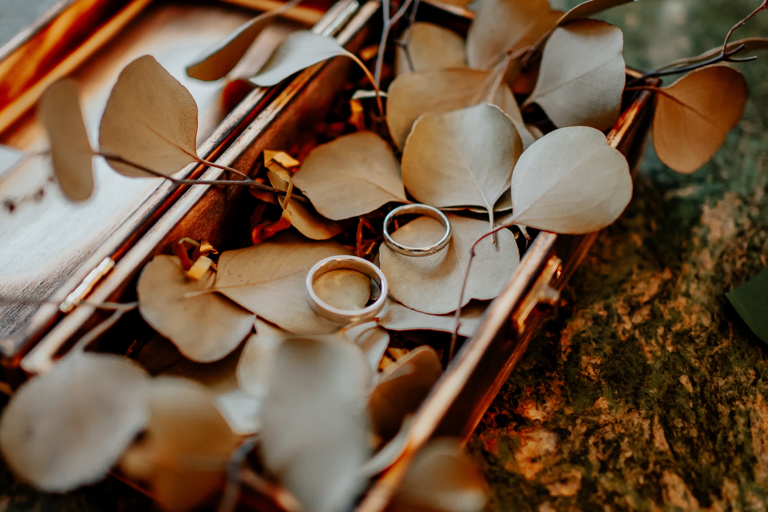 Marcel & Alexandra - 41