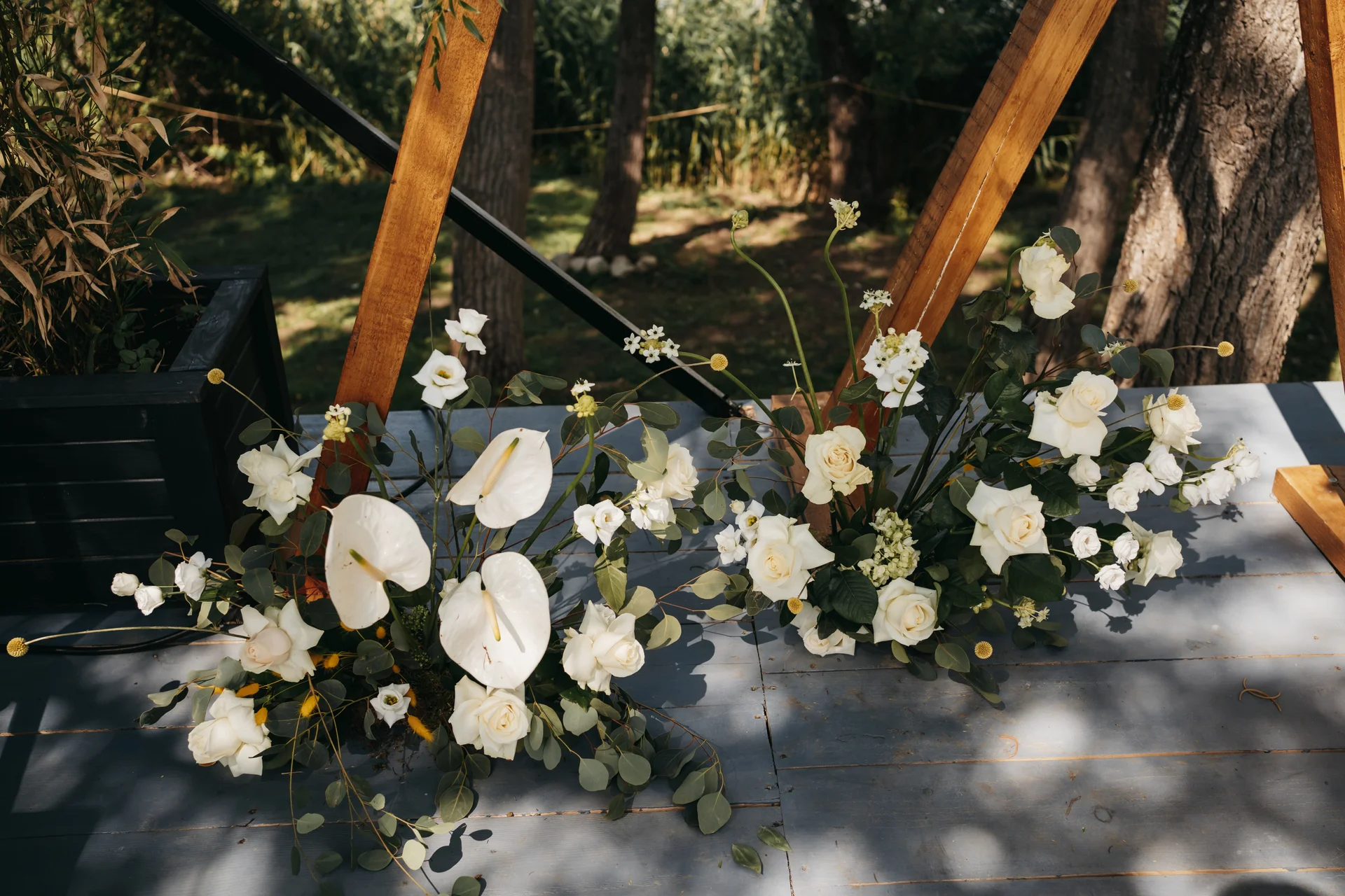 Raluca & Remus - 14